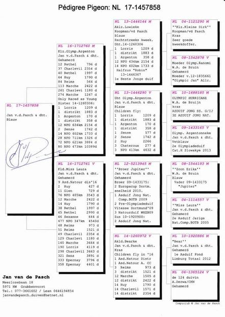 M.  per. 10 - A1 PERECHI MATCA pentru 2019