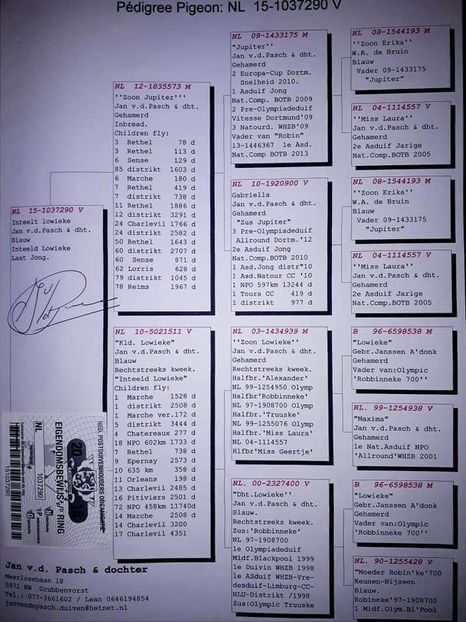 F.  per. 10 - A1 PERECHI MATCA pentru 2019