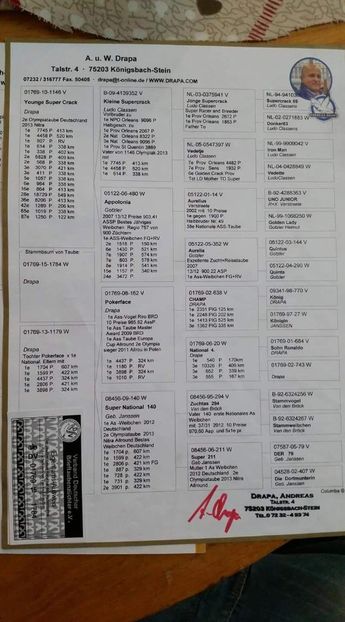 F.  per. 11 - A1 PERECHI MATCA pentru 2019