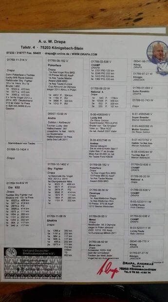 M.  per. 12 - A1 PERECHI MATCA pentru 2019