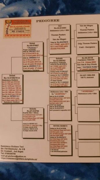 M.  per. 13 - A1 PERECHI MATCA pentru 2019