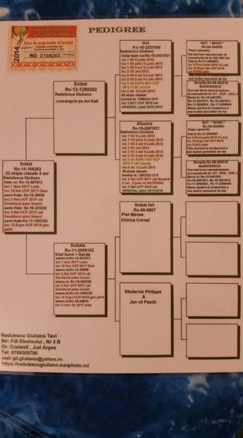 M.  per. 14 - A1 PERECHI MATCA pentru 2019