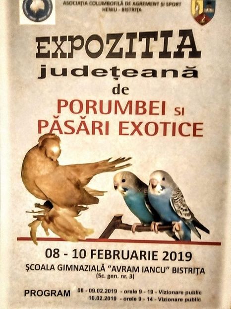 Sa inceapa distractia - EXPOZITIA DE PORUMBEI SI PASARI EXOTICE BISTRITA 08-10 Feb 2019