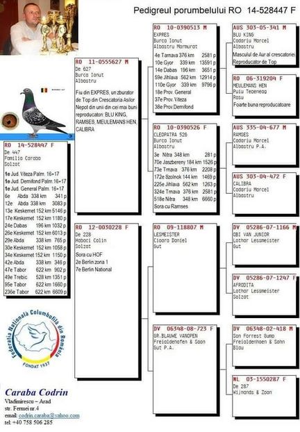 F.  per. 16 - A1 PERECHI MATCA pentru 2019