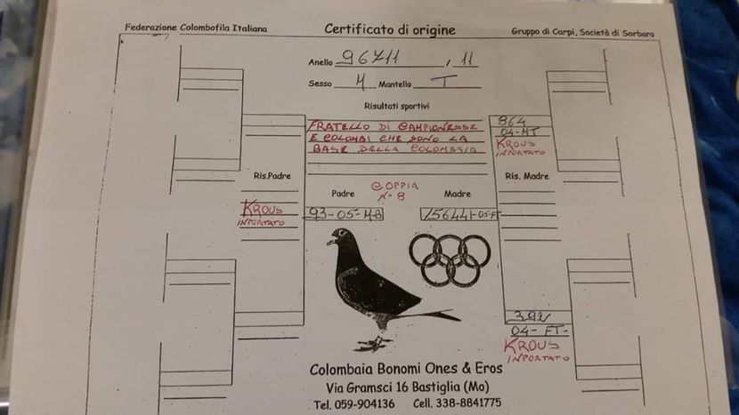 M.  per. 17 - A1 PERECHI MATCA pentru 2019