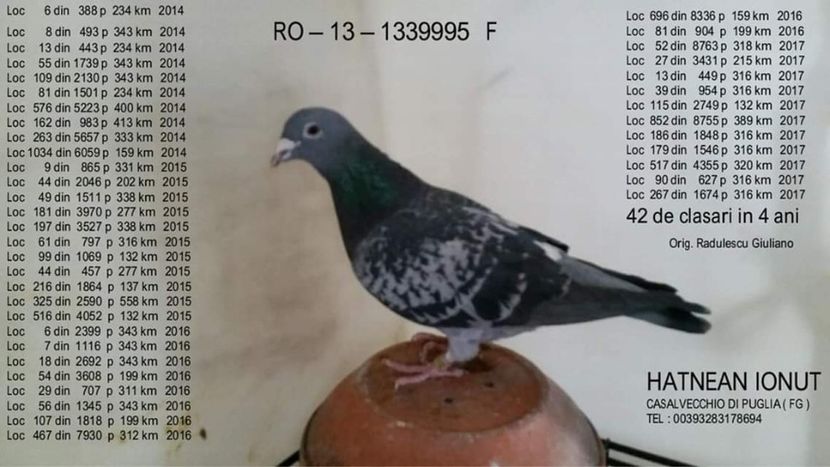 F.  per. 18 - A1 PERECHI MATCA pentru 2019