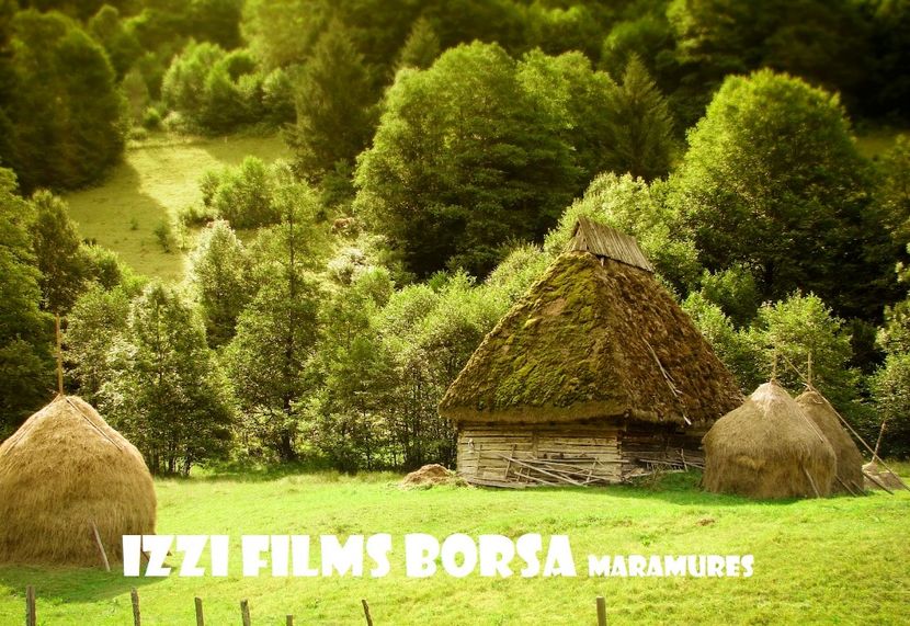 romania-satss - FOSTUL SPITAL DE BOLI PSIHICE CRONICE ROCK CLUB BORSA MARAMURES resedinta privata