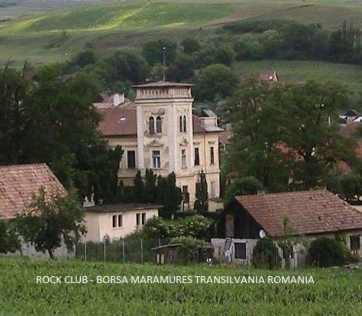 asa apare conacul -ROCK CLUB BORSA MARAMURES TRANSILVANIA ROMANIA - fostul spital de boli nervoase - - FOSTUL SPITAL DE BOLI PSIHICE CRONICE ROCK CLUB BORSA MARAMURES resedinta privata