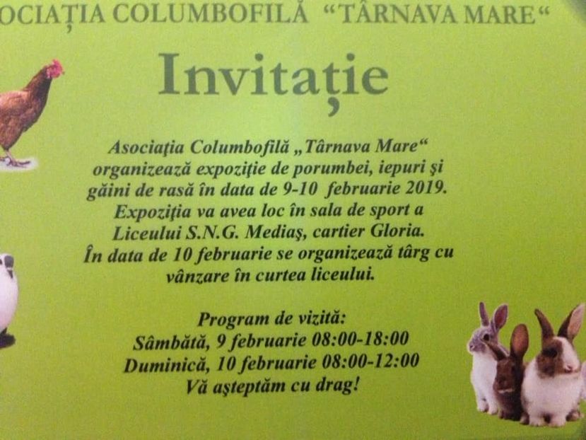  - T--TARGURI SI EXPOZITII