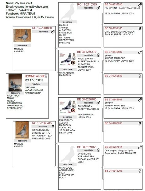 pedigree Homme Alone - HOME ALONE