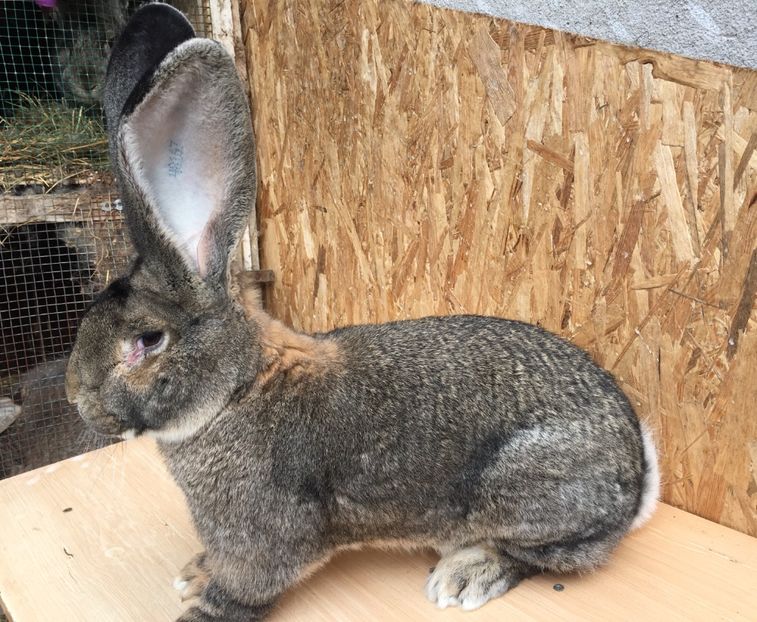 1A66DBBD-B95C-450A-B515-528323F1BD12 - RO8-48167