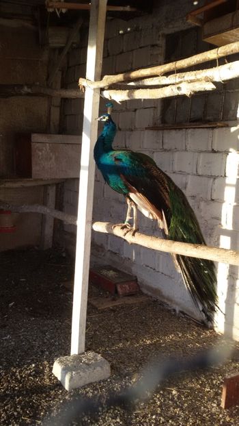  - 1 De vînzare 2019