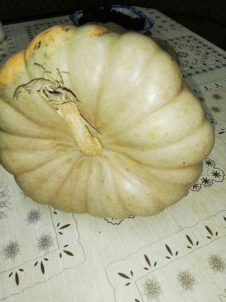  - 0- aaa - Prea ca la țară!