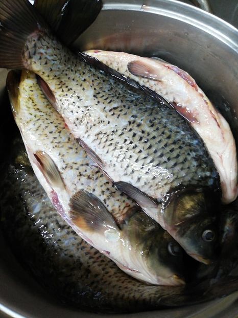  - 0- aaa - Prea ca la țară!