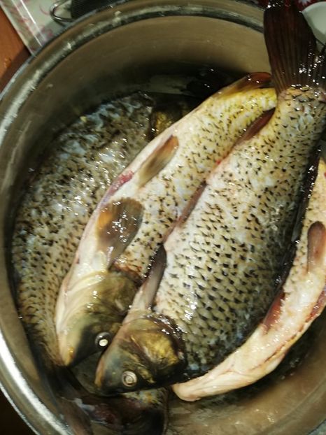  - 0- aaa - Prea ca la țară!