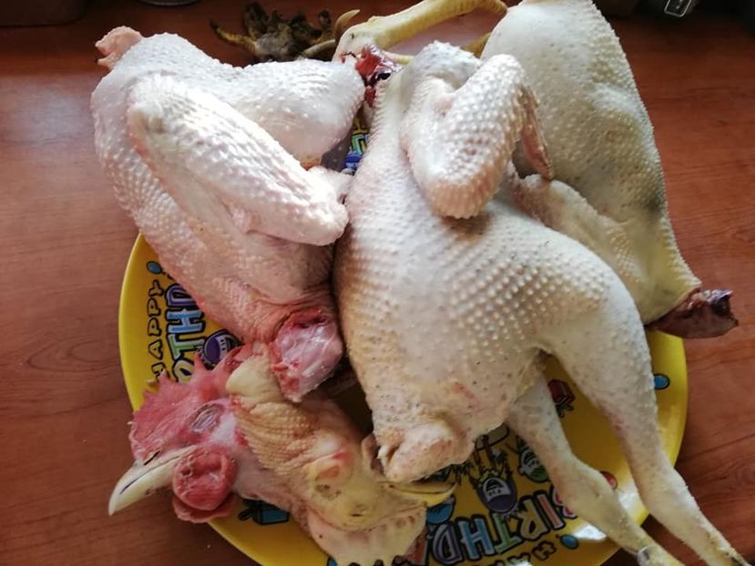  - 0- aaa - Prea ca la țară!