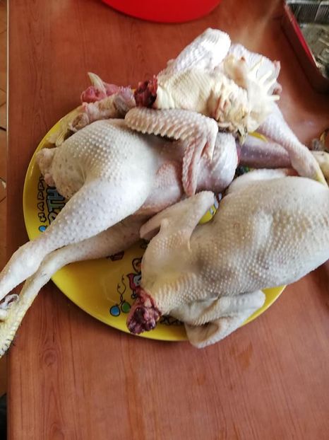  - 0- aaa - Prea ca la țară!