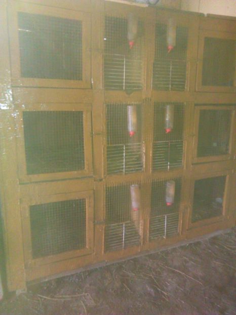 Cusca  nr 3 - Custile si adapostul iepurilor nou 2019