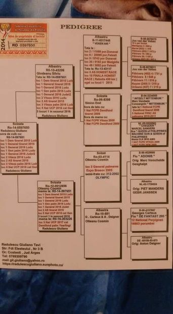 F.  per. 19 - A1 PERECHI MATCA pentru 2019