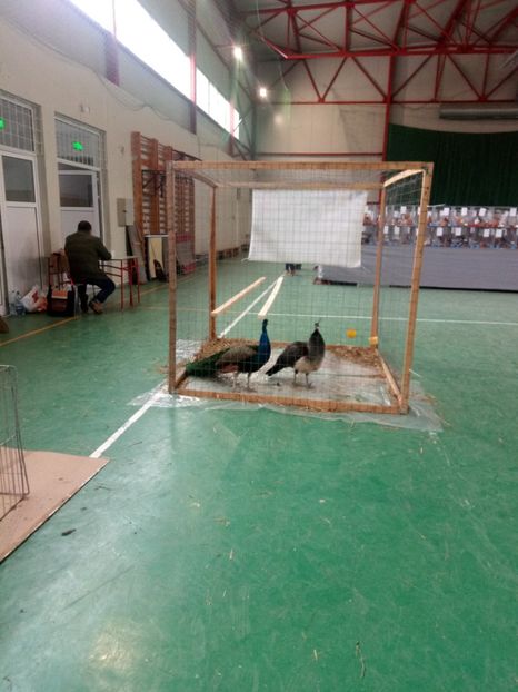  - Expoziție carei 2019