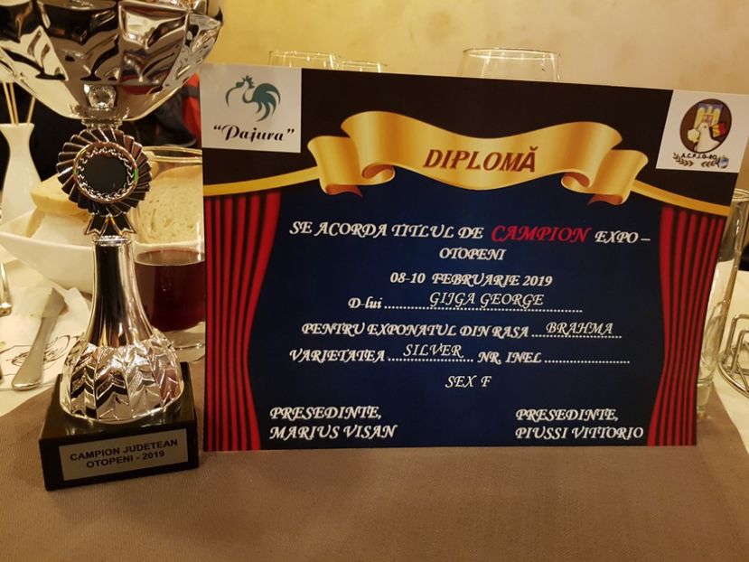 Expo Pajura Otopeni febr 19 - A__ Contact