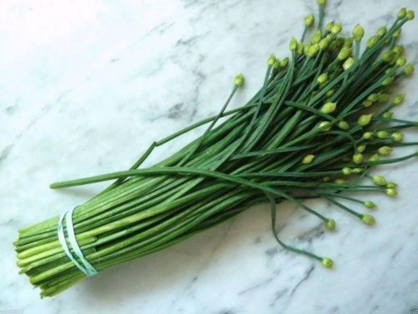  - SEMINTE USTUROI DE TUNS - GARLIC CHIVES - ALLIUM TUBEROSUM