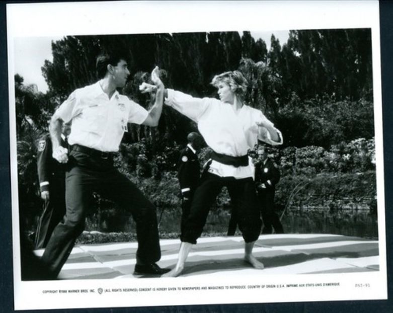 Academia De Politie - Academia de Politie