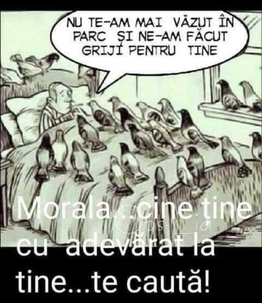  - Foto Porumbei Zburători de Nikolaev