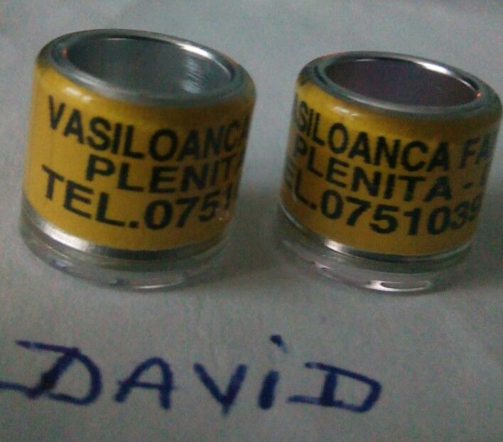  - 9 Inele personalizate