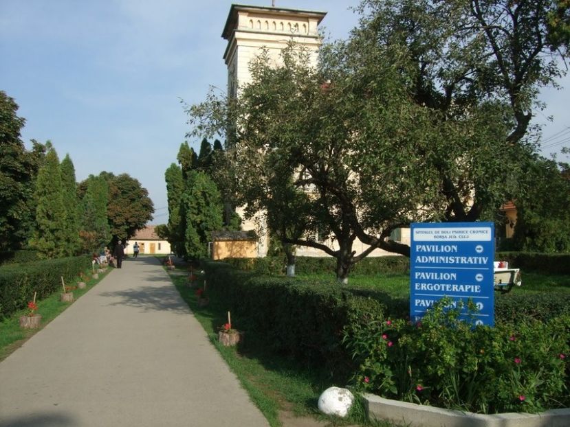 087-1024x768 - FOSTUL SPITAL DE BOLI PSIHICE CRONICE ROCK CLUB BORSA MARAMURES resedinta privata