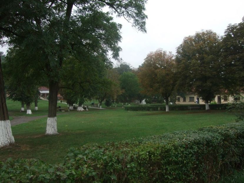 gradina - FOSTUL SPITAL DE BOLI PSIHICE CRONICE ROCK CLUB BORSA MARAMURES resedinta privata