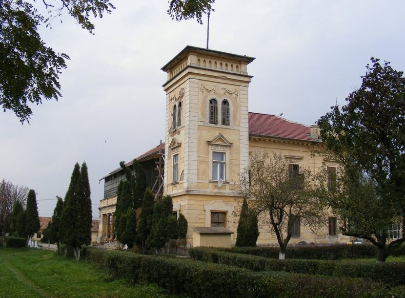 Mental_Inst - FOSTUL SPITAL DE BOLI PSIHICE CRONICE ROCK CLUB BORSA MARAMURES resedinta privata