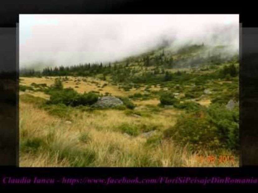 8f607737c71acb98e7346154f6d54cfa - FOSTUL SPITAL DE BOLI PSIHICE CRONICE ROCK CLUB BORSA MARAMURES resedinta privata