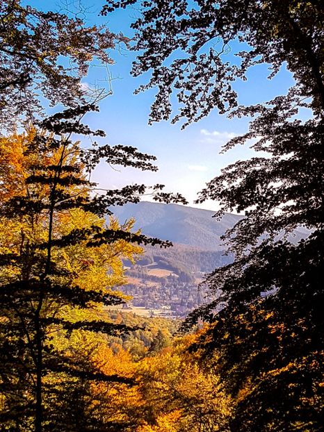  - 06 - Cheia - Muntele Roșu - nov 2018