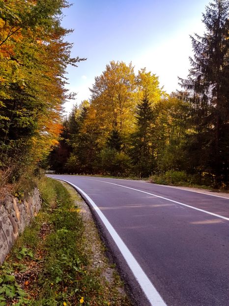  - 06 - Cheia - Muntele Roșu - nov 2018