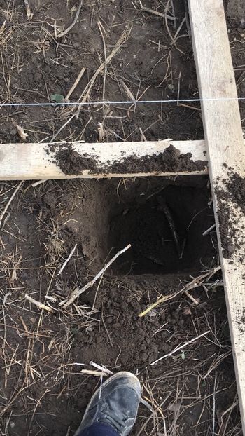 97F5DB24-AB00-470C-99DE-5897115548F7 - Voliera