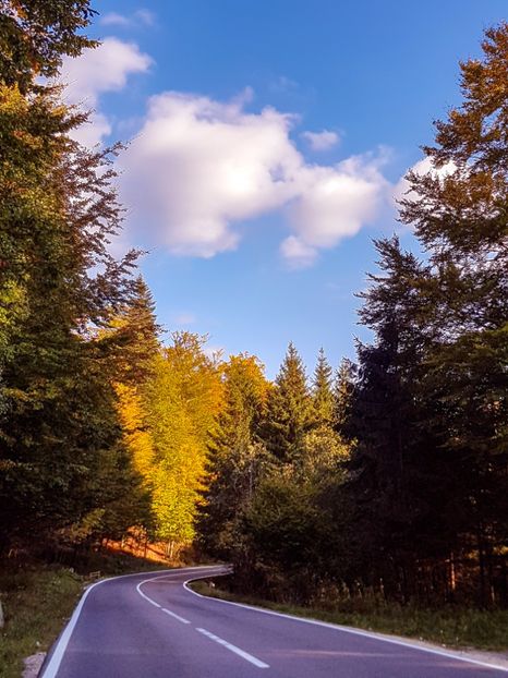  - 06 - Cheia - Muntele Roșu - nov 2018