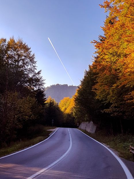  - 06 - Cheia - Muntele Roșu - nov 2018