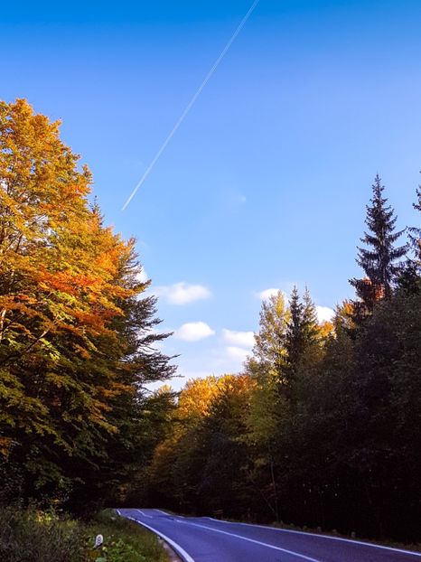  - 06 - Cheia - Muntele Roșu - nov 2018