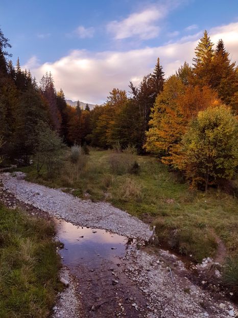  - 06 - Cheia - Muntele Roșu - nov 2018