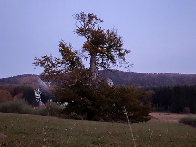 - 06 - Cheia - Muntele Roșu - nov 2018