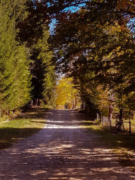  - 06 - Cheia - Muntele Roșu - nov 2018