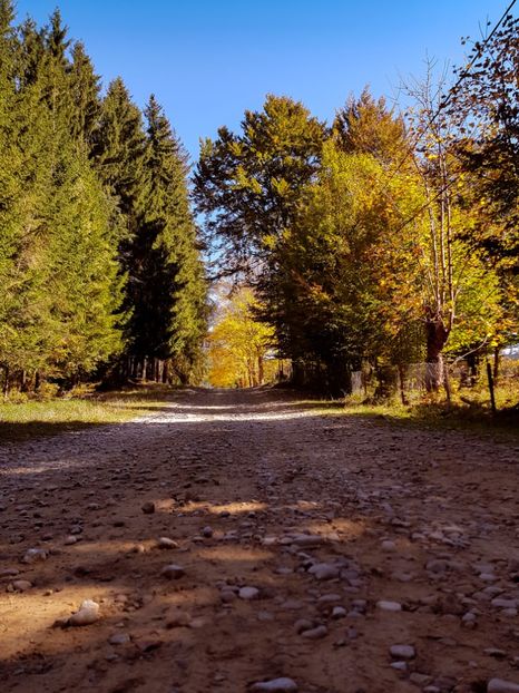  - 06 - Cheia - Muntele Roșu - nov 2018