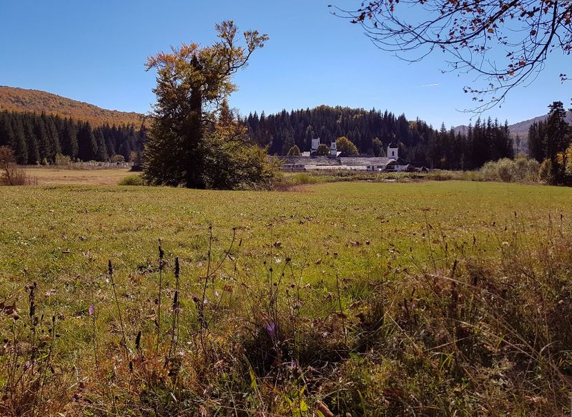  - 06 - Cheia - Muntele Roșu - nov 2018