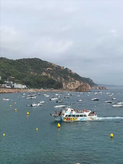 357DC990-9FA5-44AB-9E7F-6C9B451B8FE4 - Spania 2018