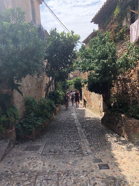 6497879F-D4C2-44FD-A2E0-4BA27AFEC385 - Spania 2018