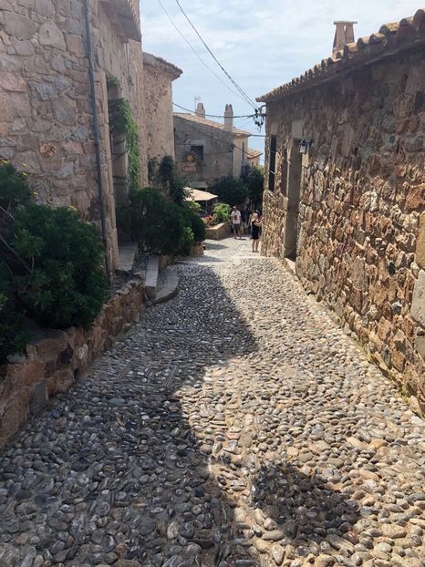 D20D64ED-7DC8-40AA-BD9A-CFCD8EDD1E90 - Spania 2018