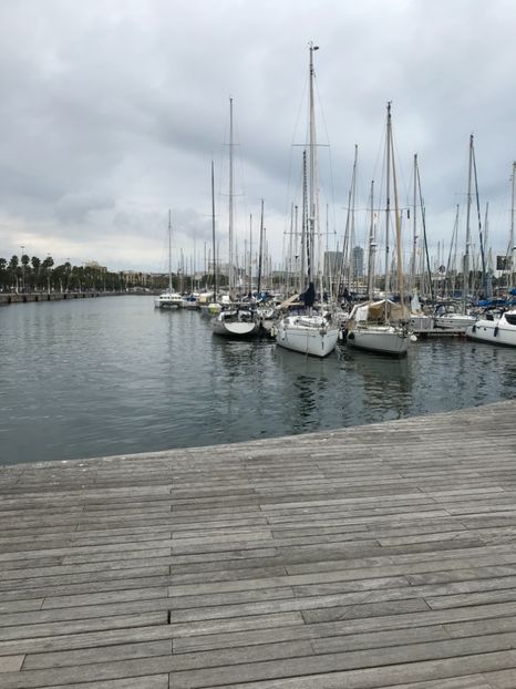 759F345F-E5AC-40B6-80E1-A02C41D5E293 - Spania 2018