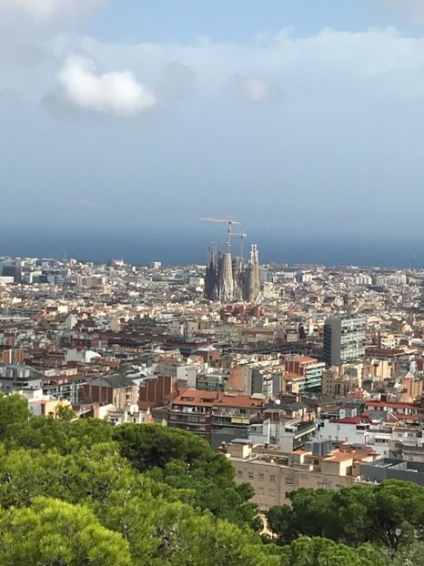 259005D8-76B0-4370-A523-FD9BEFECC22A - Spania 2018