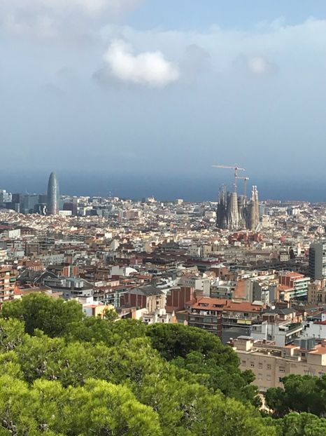 E68A49BF-FF61-4EC7-905F-1F4E859887C1 - Spania 2018